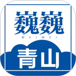 星空下的奇遇：中国在线漫展的独特魅力
